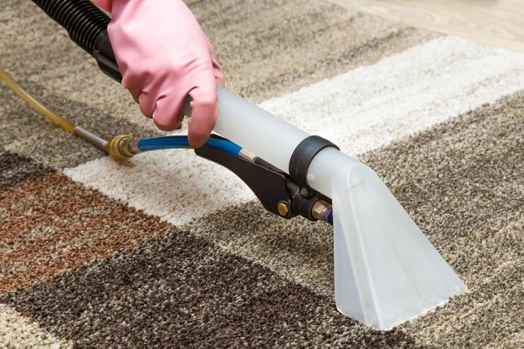 alat pencuci karpet