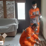 Jasa Anti Rayap Bekasi Profesional & Bergaransi asa Anti Rayap Bekasi
